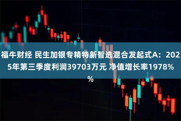 福牛财经 民生加银专精特新智选混合发起式A：2025年第三季度利润39703万元 净值增长率1978%
