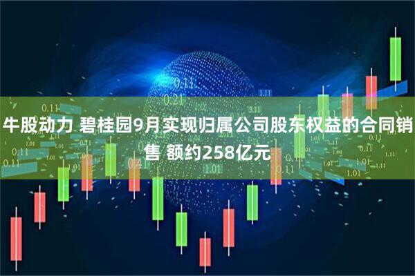 牛股动力 碧桂园9月实现归属公司股东权益的合同销售 额约258亿元