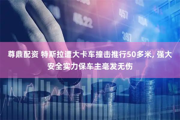 尊鼎配资 特斯拉遭大卡车撞击推行50多米, 强大安全实力保车主毫发无伤